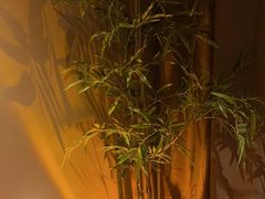 -宁采臣Sleep·采耳·SPA放松馆(湖里万达店)