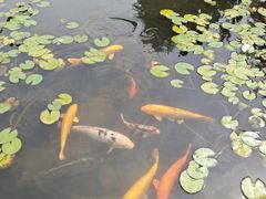 -白马涧龙池景区