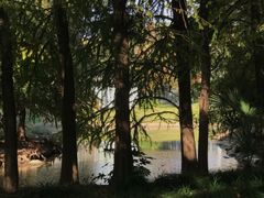 -上海滨江森林公园
