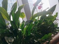 -渝信川菜 · 川味家常菜(财富购物中心店)