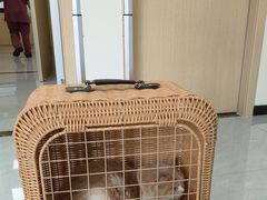 -宠颐生猫科·内科皮肤科(西平世纪城店)