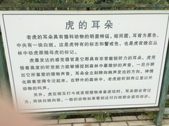 -横道河子东北虎林园