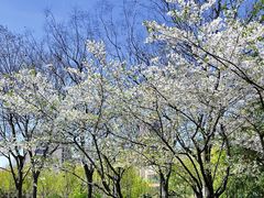 -顶顶红石锅拌饭(步行东街店)