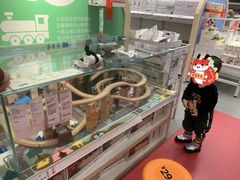 -宜家家居(哈尔滨商场店)