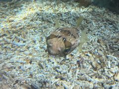 -福州罗源湾海洋世界旅游区