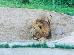 -北京野生动物园