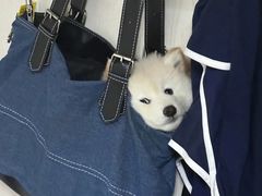-庐州太太(南七里店)