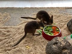 -海合安武汉极地海洋公园