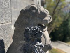 景点-少林寺景区
