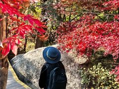 -崂山巨峰游览区