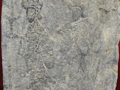 -卧龙岗文化园-南阳市汉画馆