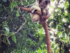 -费瑟代尔野生动物园