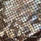 百雀羚之金红一瞥焕活鎏金面膜