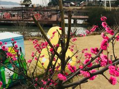 -东钱湖旅游度假区