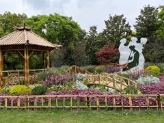 -上海共青森林公园