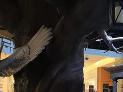 -暴风岛沉浸式体验馆(百联世纪店)