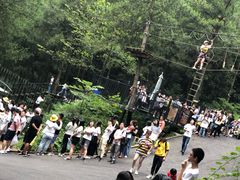 -梦幻奥陶纪景区