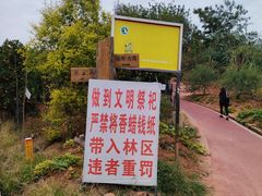 -五凤溪古镇