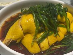 -熠盛粤味·顺德桑拿鸡(永康路店)