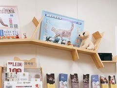 -美联众合爱康动物医院•复杂内科•肿瘤科•牙科•腔镜诊疗中心