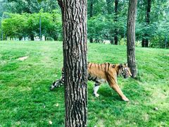 -北京野生动物园