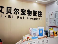 -艾贝尔宠物医院·宠保定点·超声绝育·免疫点(樱花路店)