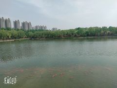 -燕郊植物园