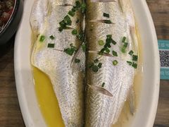 清蒸白鱼-锡和无锡菜(景丽苑店)