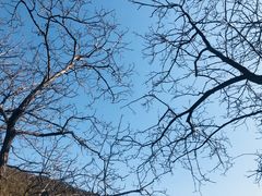 -四门塔风景区