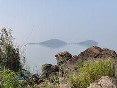 -上海市保健医疗中心