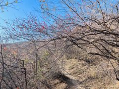 -香山公园