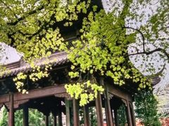 -钱王祠
