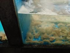 -码头鲜精致威海菜(欧乐坊店)