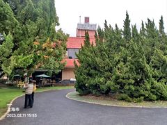 -龙柏饭店-地面停车场
