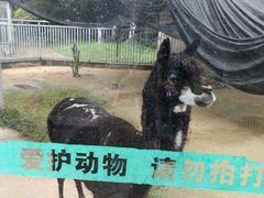 -水绘园