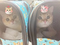 -萌兽医馆·眼科·异宠专科(三里屯店)