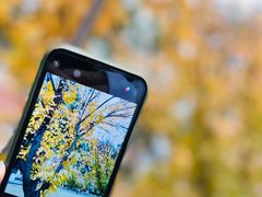 -长沙市青少年宫