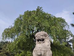 -西北农林科技大学(北校区)