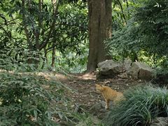 -鼓楼(西湖风景名胜区)