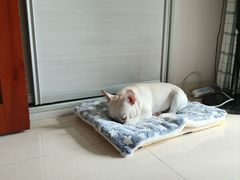 -清晖小苑•顺德地方菜(壹海城店)