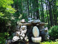 -上海醉白池公园