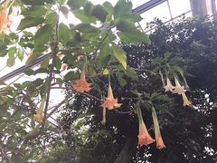 -南通洲际绿博园