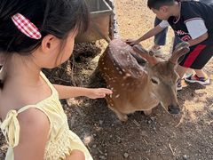 -海南热带野生动植物园