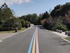 -同里国家湿地公园