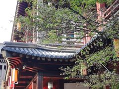 -香积寺