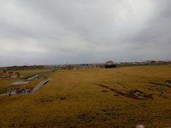 -红海滩国家风景廊道