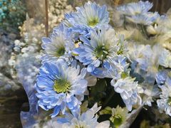 -循礼门鲜花花市(武汉循礼门店)