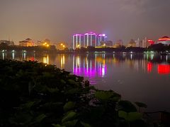 -莲花池公园