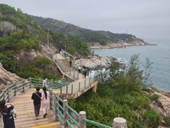 -广东惠东海龟国家级自然保护区