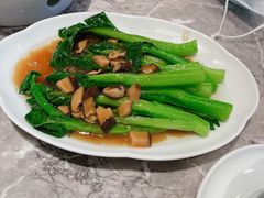 耗油菜心-四道菜·福建菜馆(新街口金鹰店)